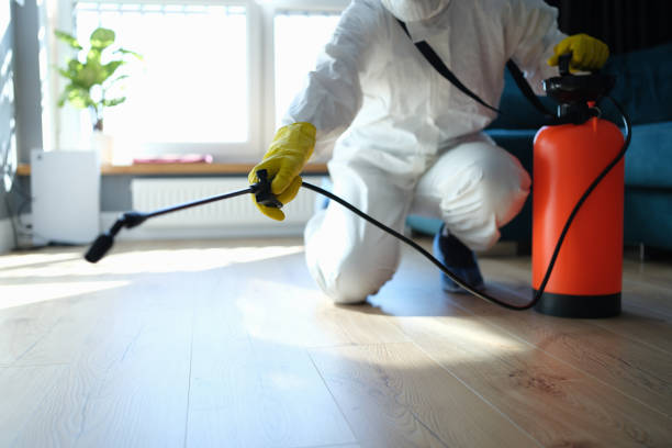 Reliable Victoria, VA Pest Control Solutions