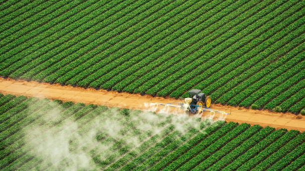 Best Pest Removal Services  in Victoria, VA