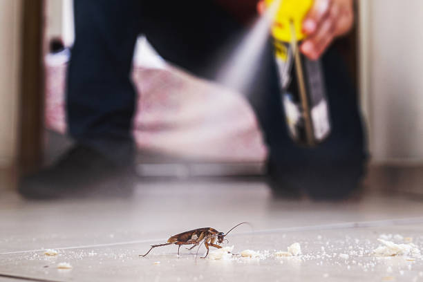 Best Mosquito Control Services  in Victoria, VA